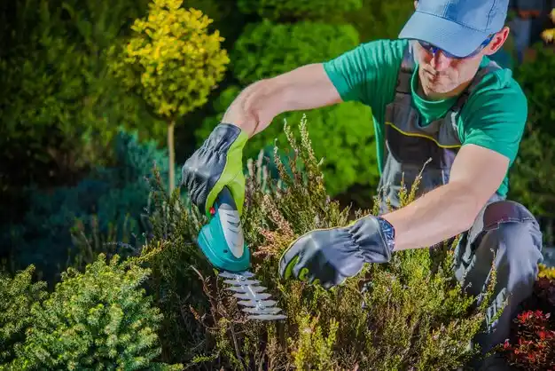 landscaping services Presquille